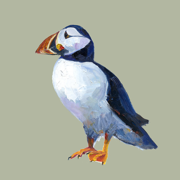 Puffin -Jack Sage by Ruth Bond
